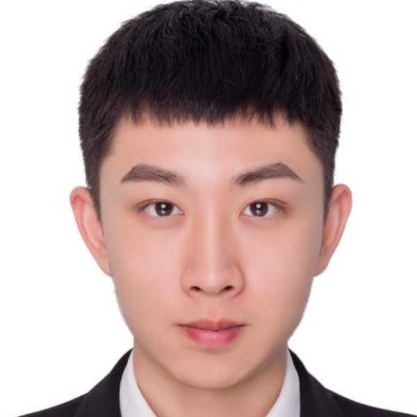 洋葱就活力的照片
