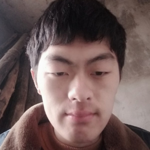 红牛向聪慧的照片