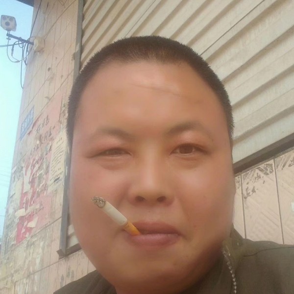 蜜蜂倾心文静的照片