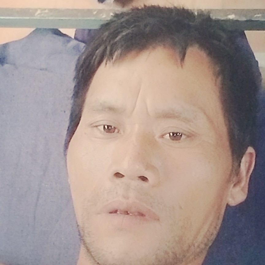 专注的白昼的照片