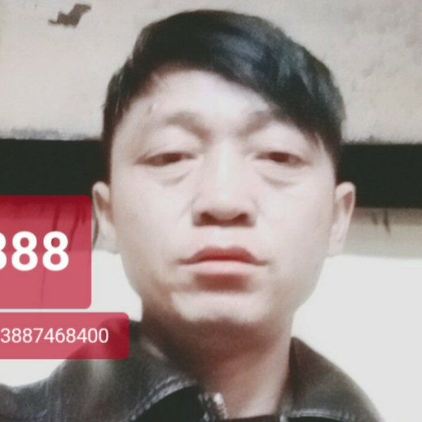 小熊猫有热心的照片