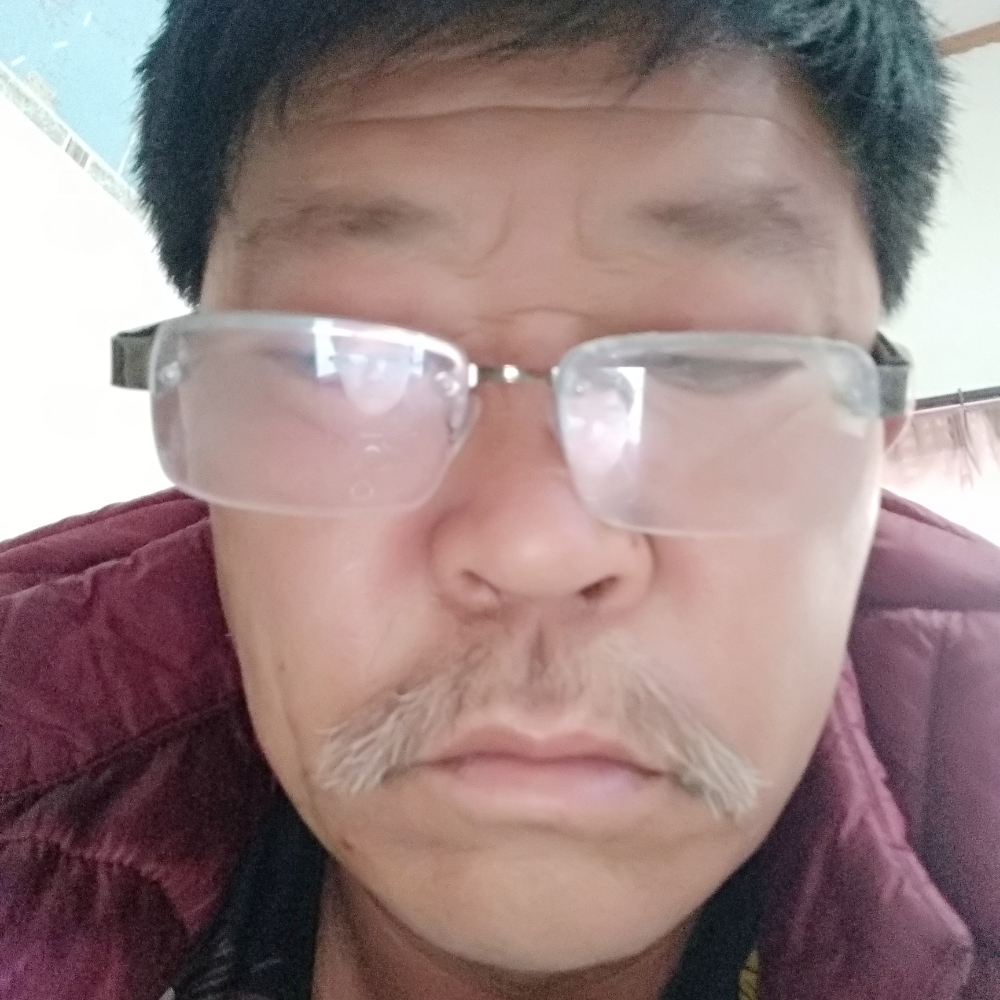 谨慎等待女王的照片