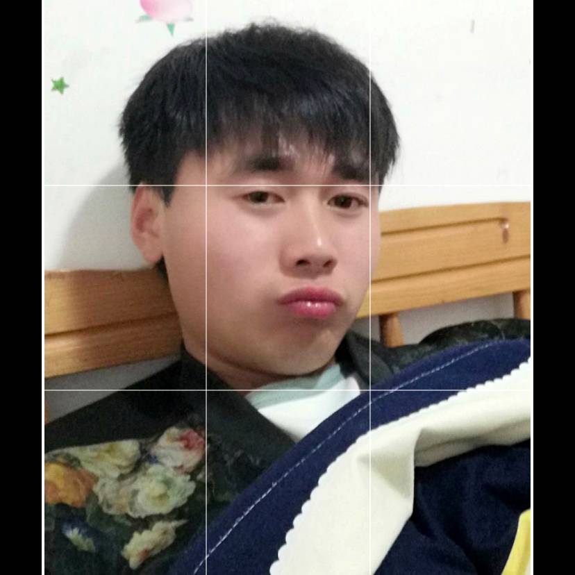 春华停止孤独的照片