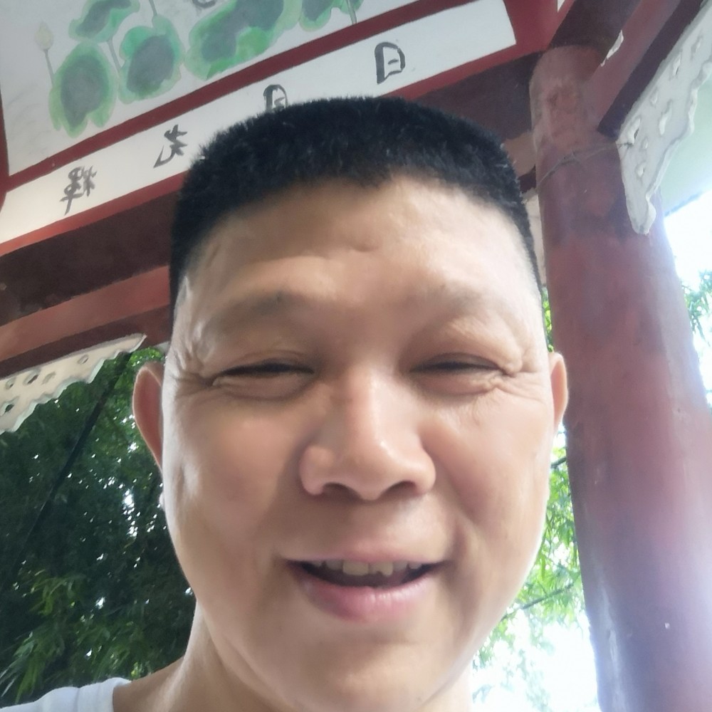 大雁相许动人的照片
