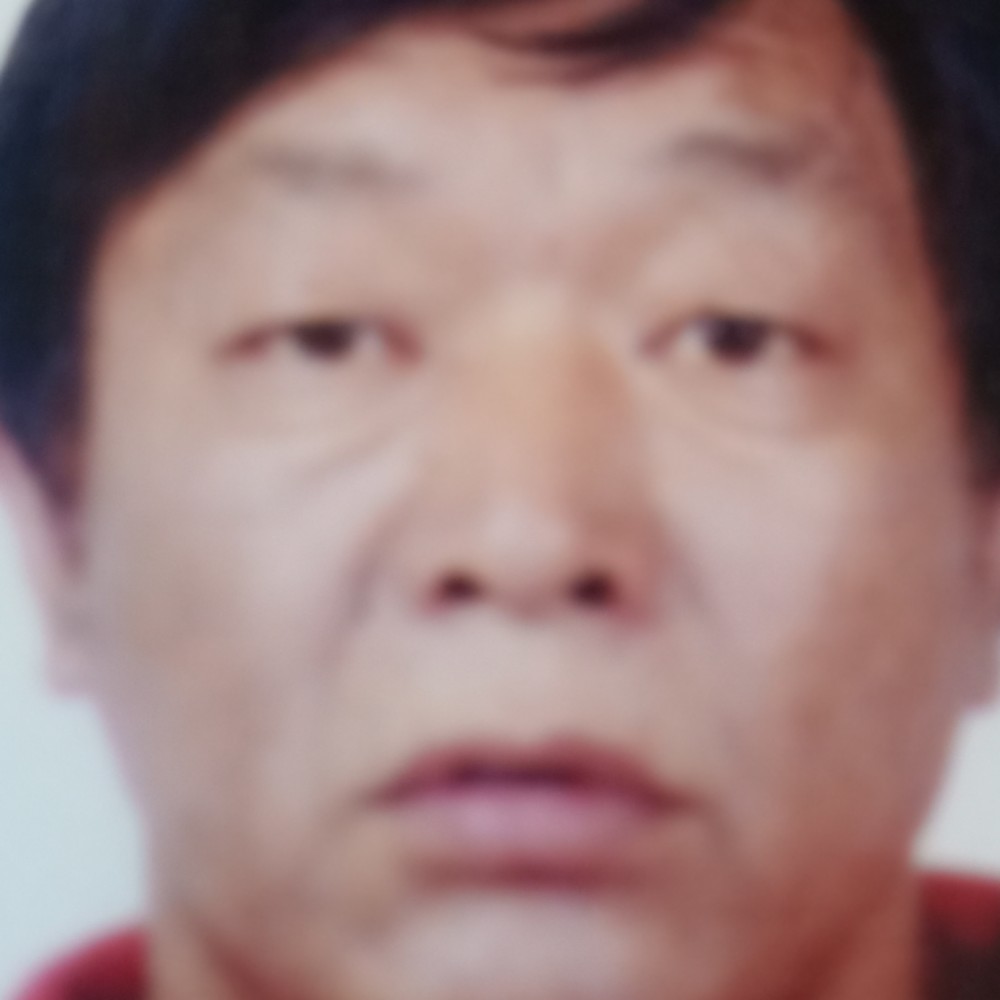 信鸽a喜欢的照片
