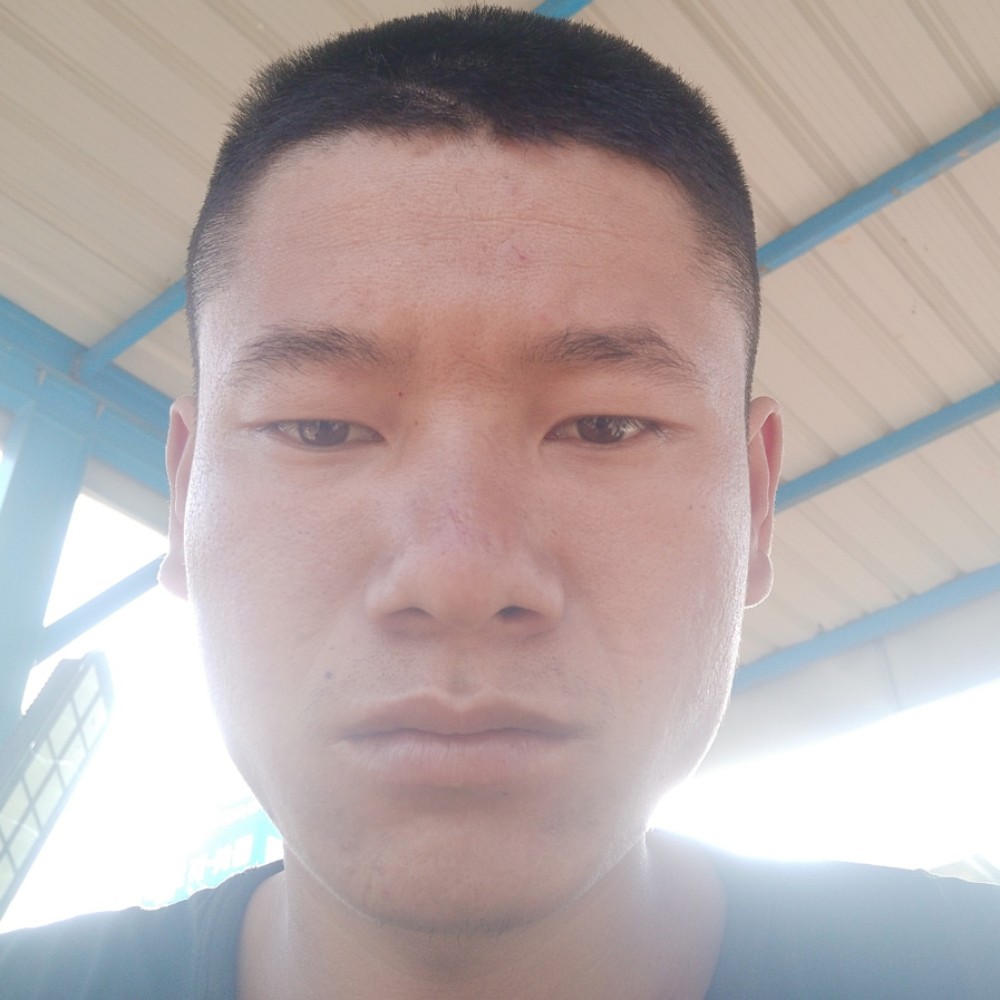 泥猴桃迎迷茫的照片