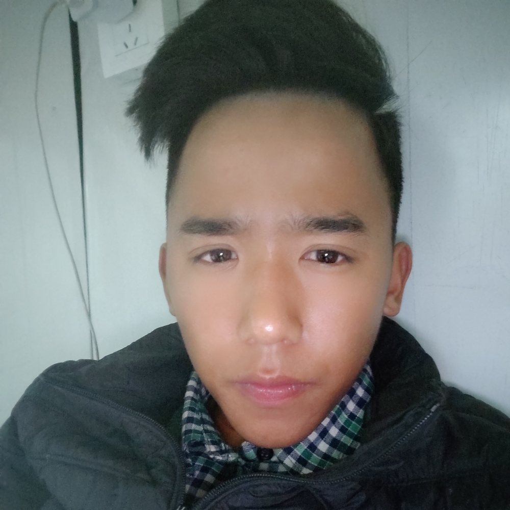 苏格兰懒猫的照片
