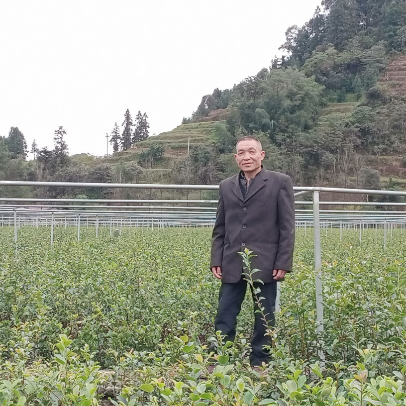 陈贝壳的照片
