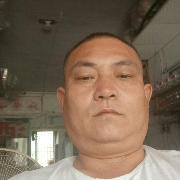 心情停止阳光的照片
