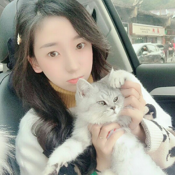 小鸭子美好的照片