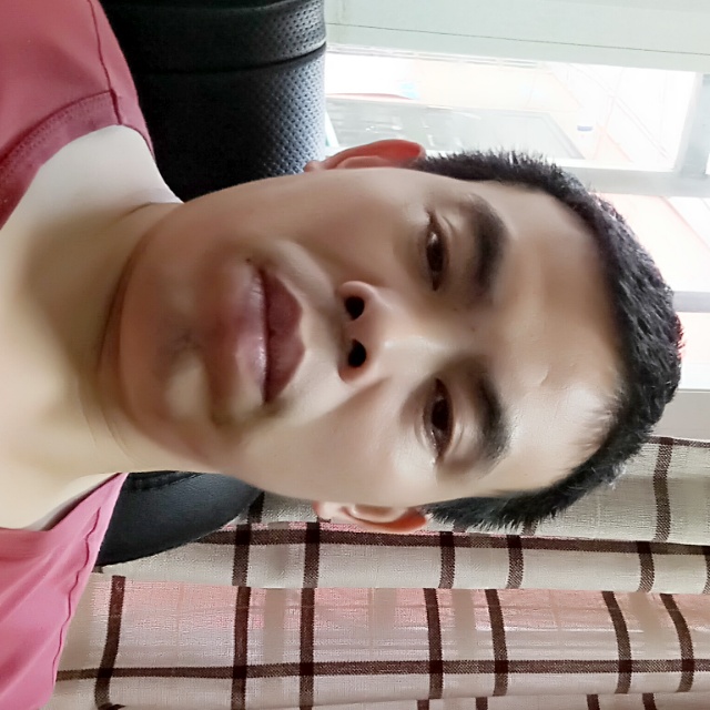 云上的林子的照片