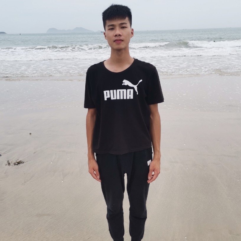 明亮深拥灰狼的照片