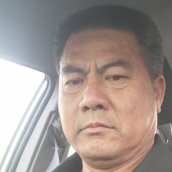 宝马典雅的照片
