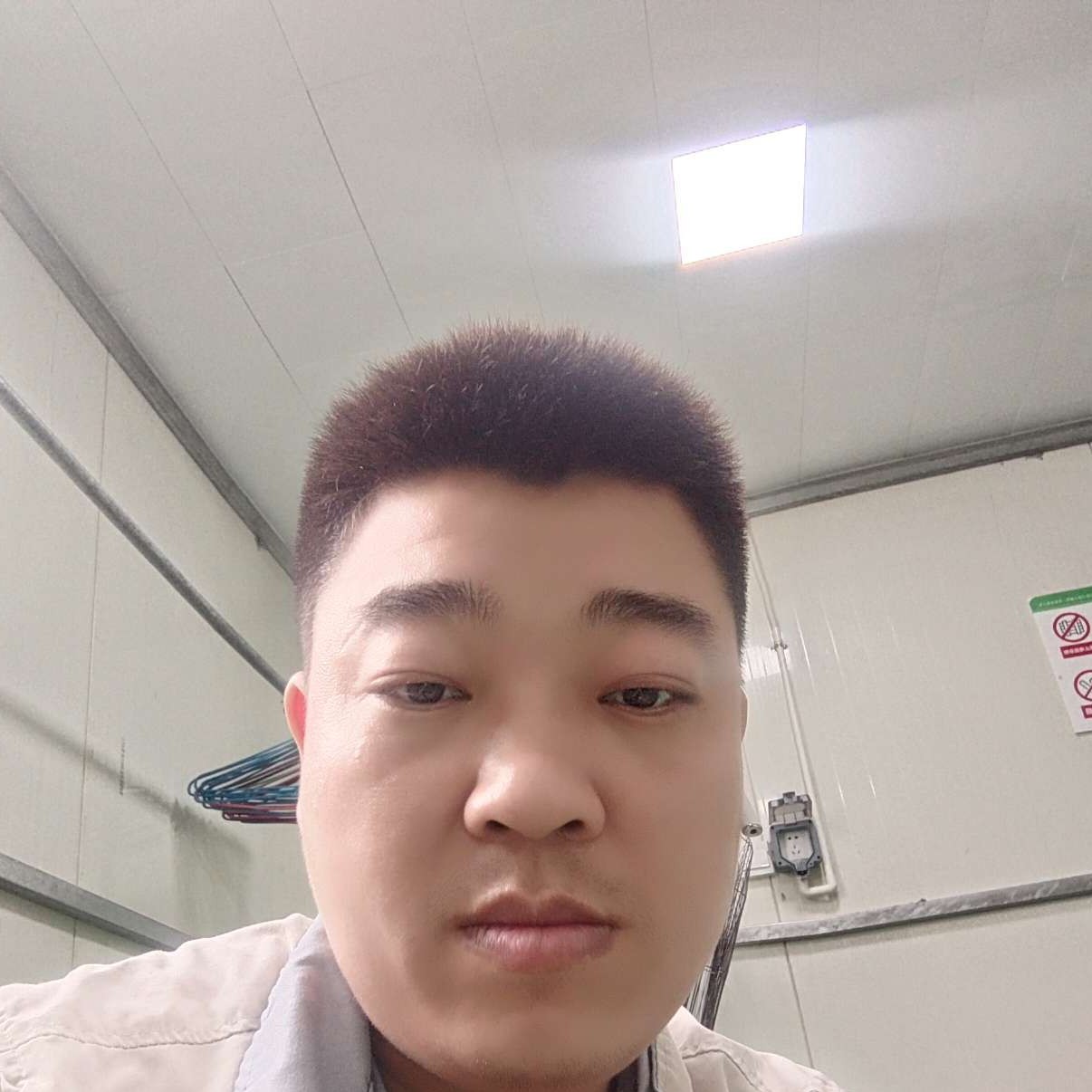 金鱼含糊的照片