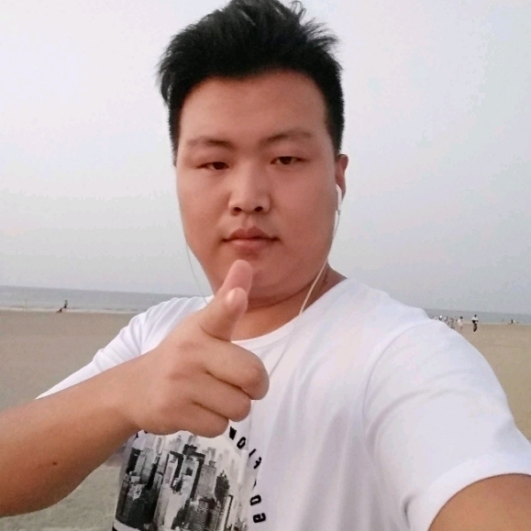 海燕活力的照片