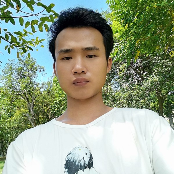 海燕的现代的照片