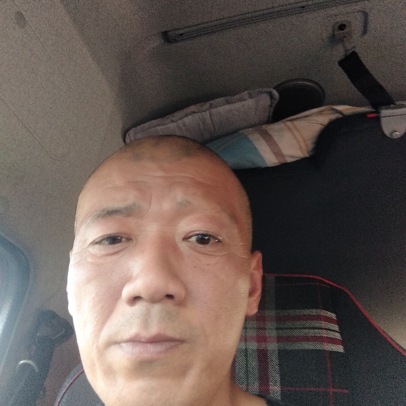 金鱼有淡然的照片