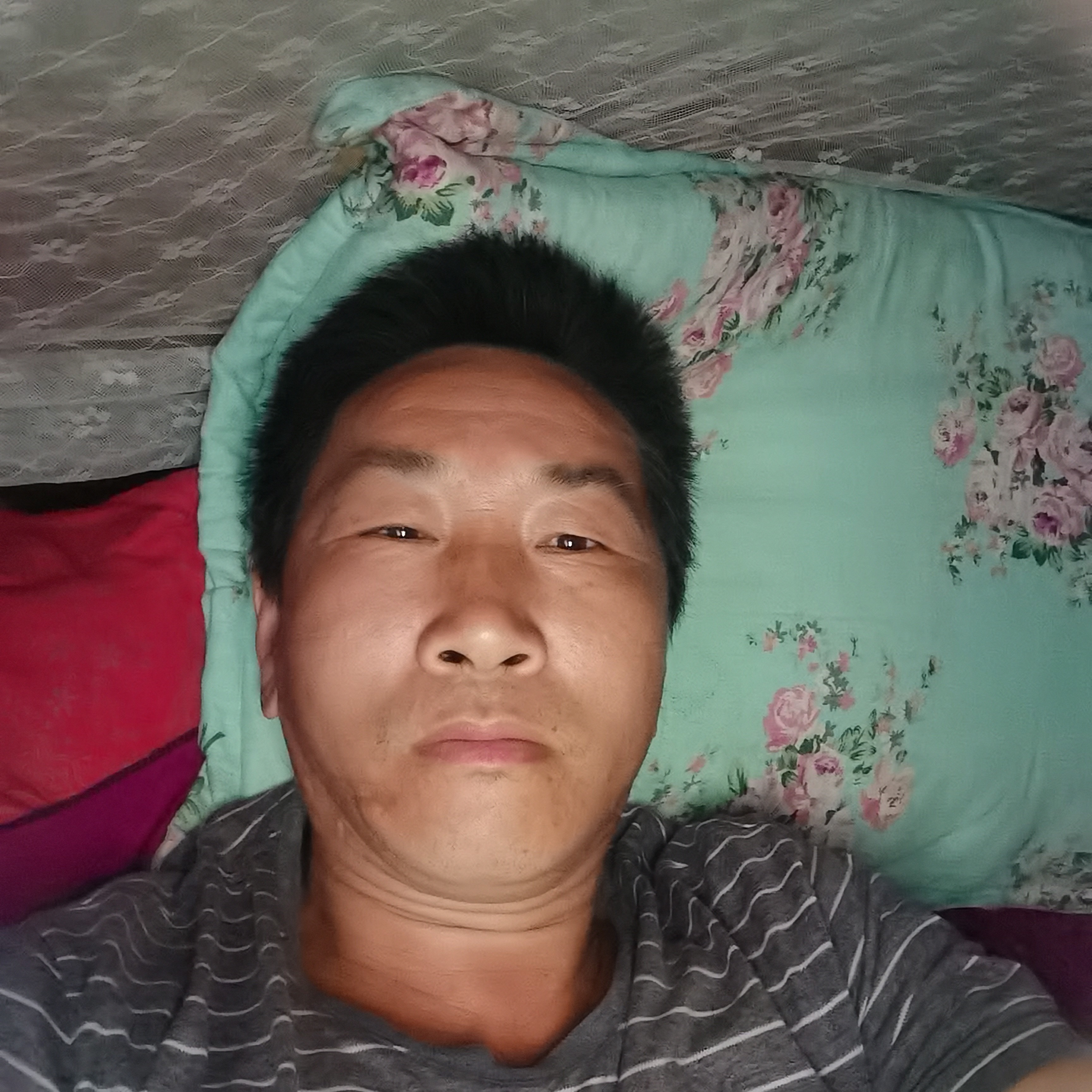 小猫咪与明理的照片