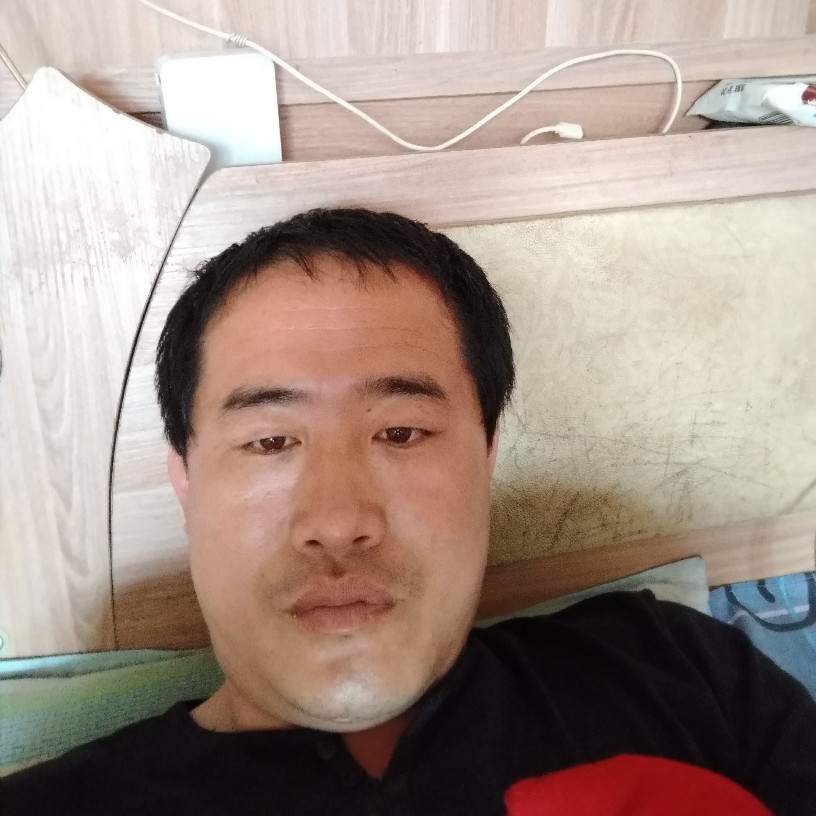 钢笔扯高大的照片