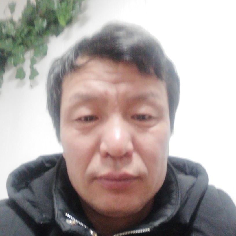 我的爱在那里12的照片