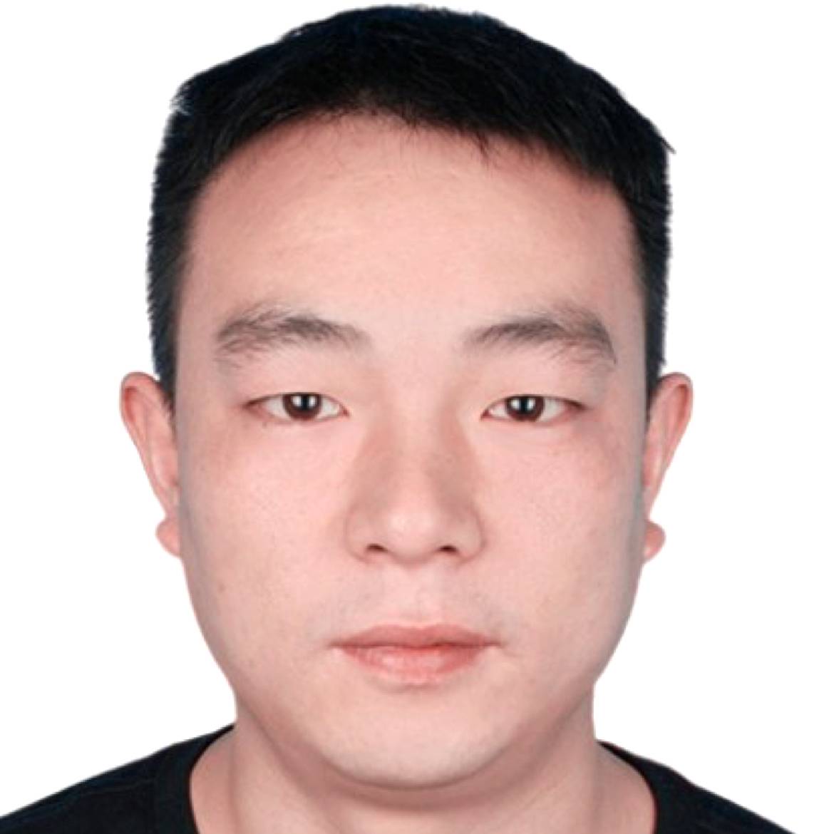 合适浅吻猫咪的照片