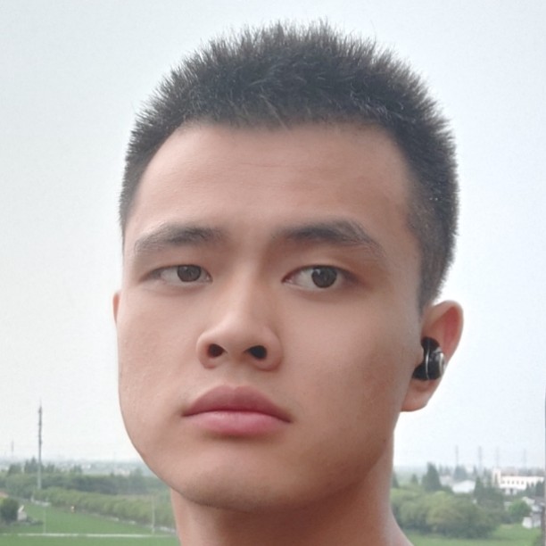孤独的狼的照片