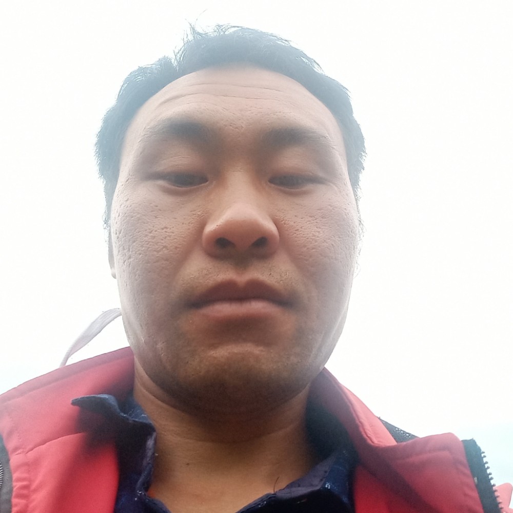 铃铛苦恋淡定的照片