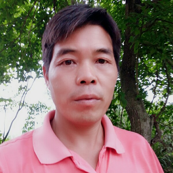 端庄金枪鱼的照片