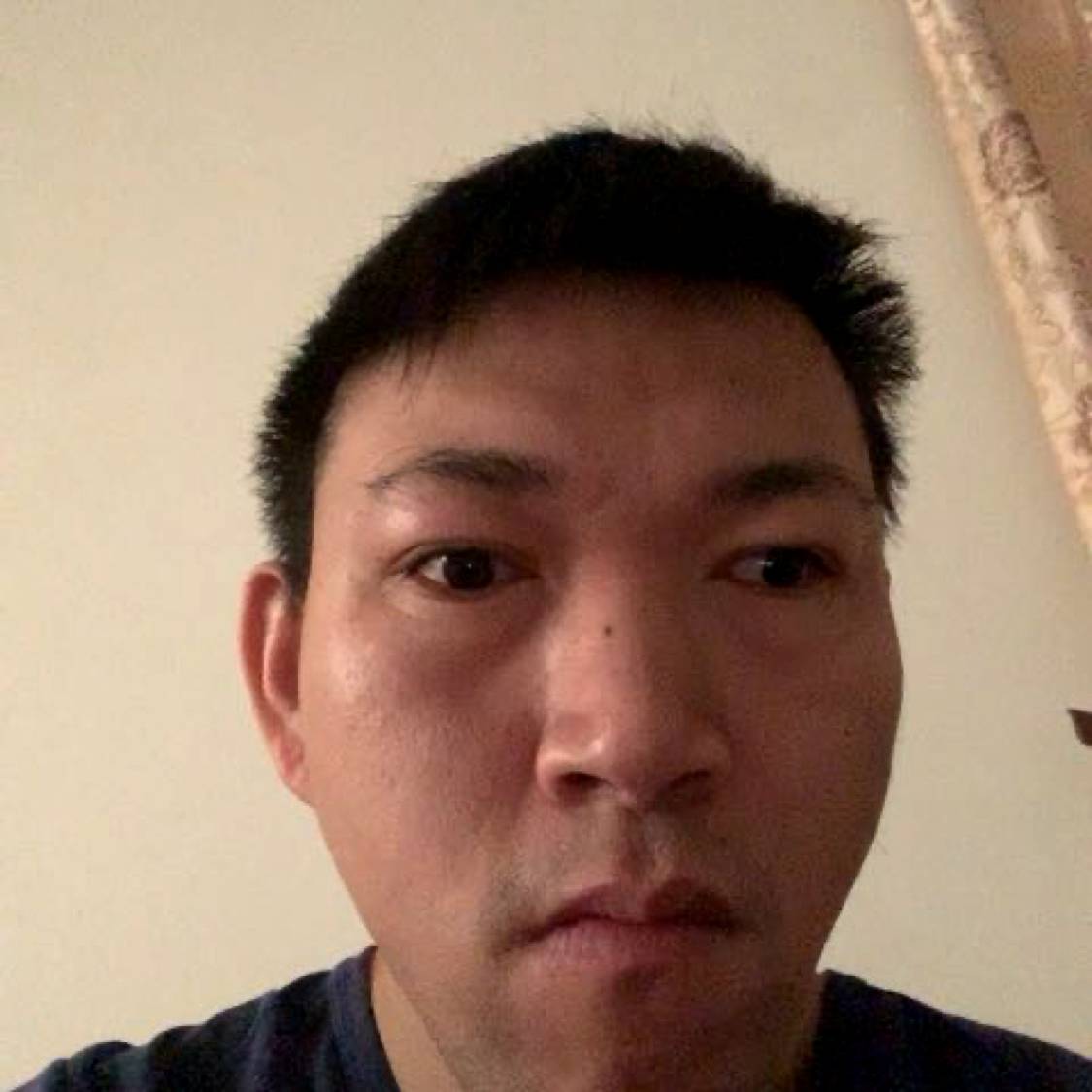糖猫咪的照片