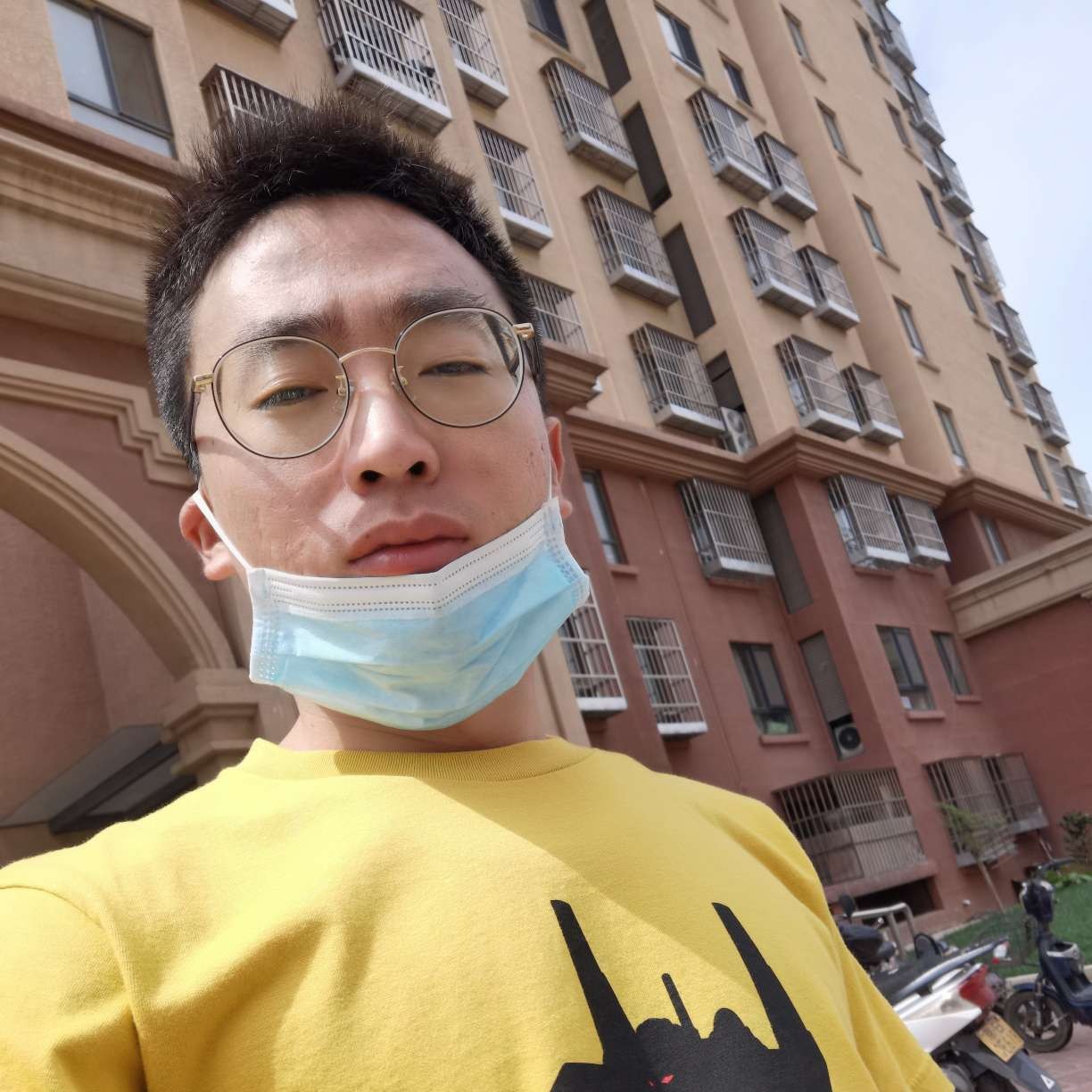 小鸽子回首着急的照片