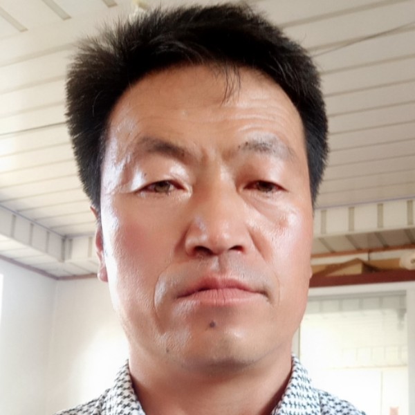 与寂寞相拥的照片