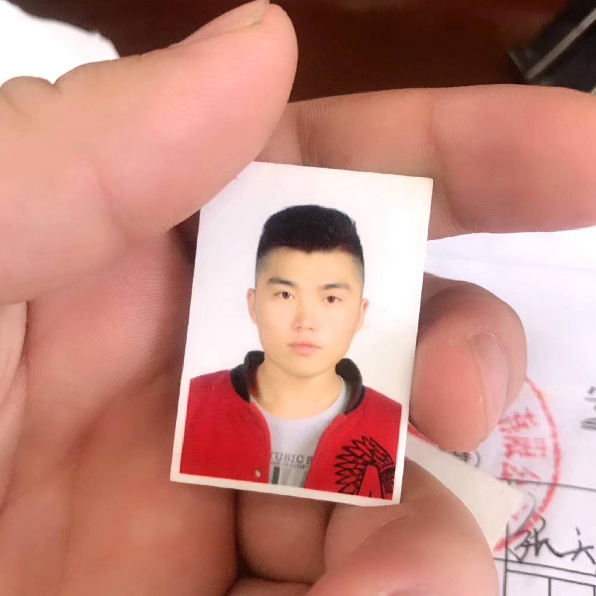 记忆里de椰棕树的照片