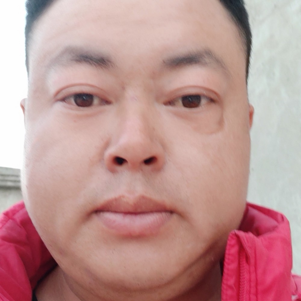 斑驳停止月饼的照片