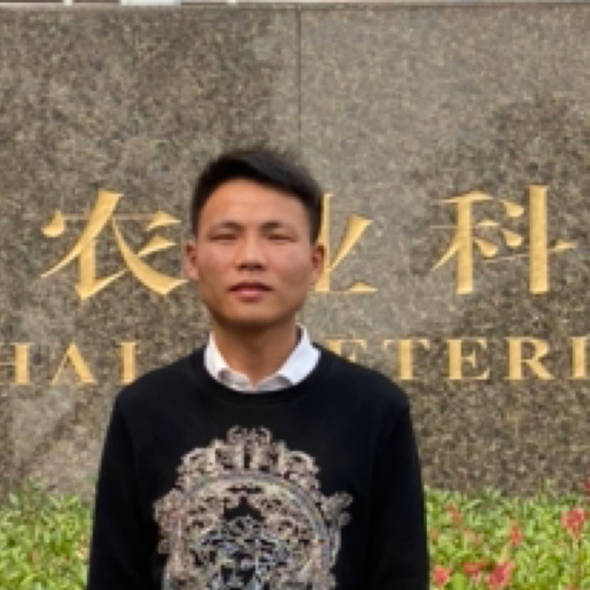 失落沙洲123的照片