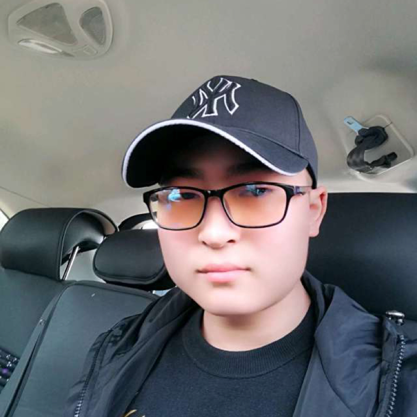 无垠的小海豚的照片