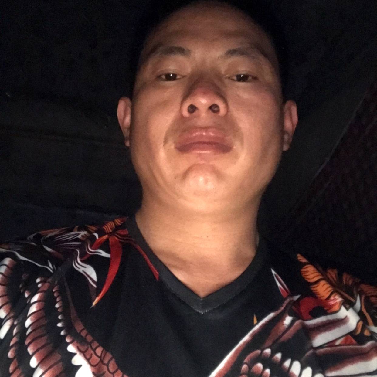 狂野凝眸热狗的照片