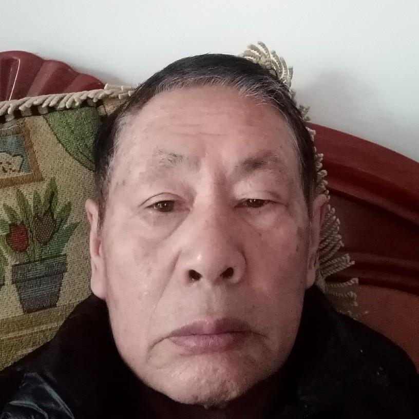 谦让狗的照片