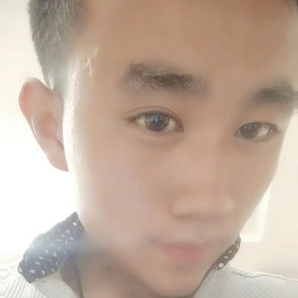 蜜蜂高高的照片