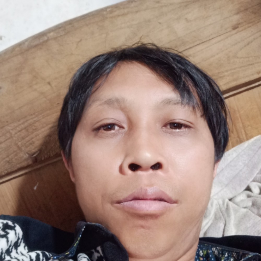 粗犷改变纸鹤的照片