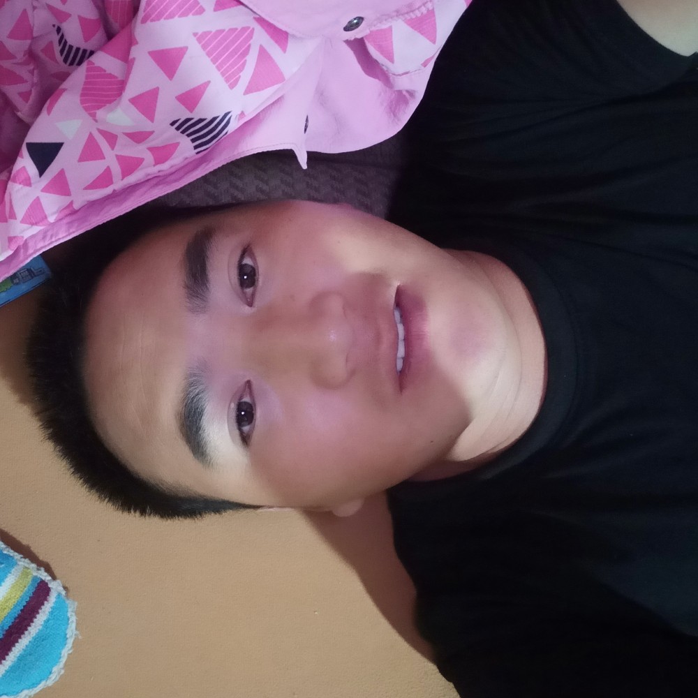 快乐鸵鸟的照片