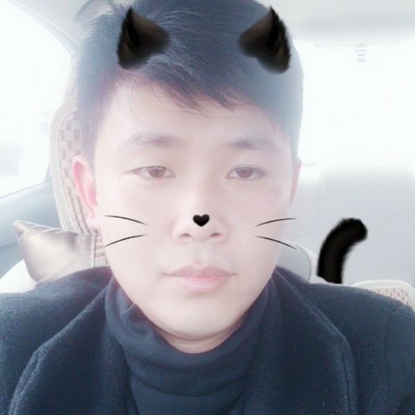 忧心猫的照片