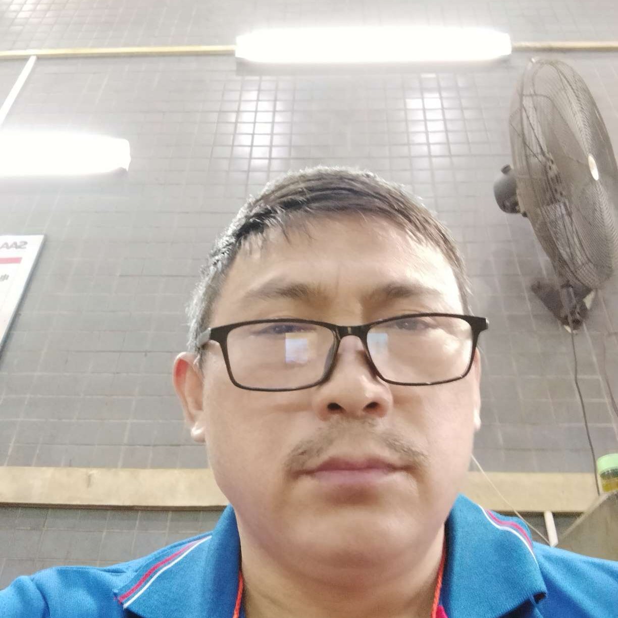 西牛回首瘦瘦的照片