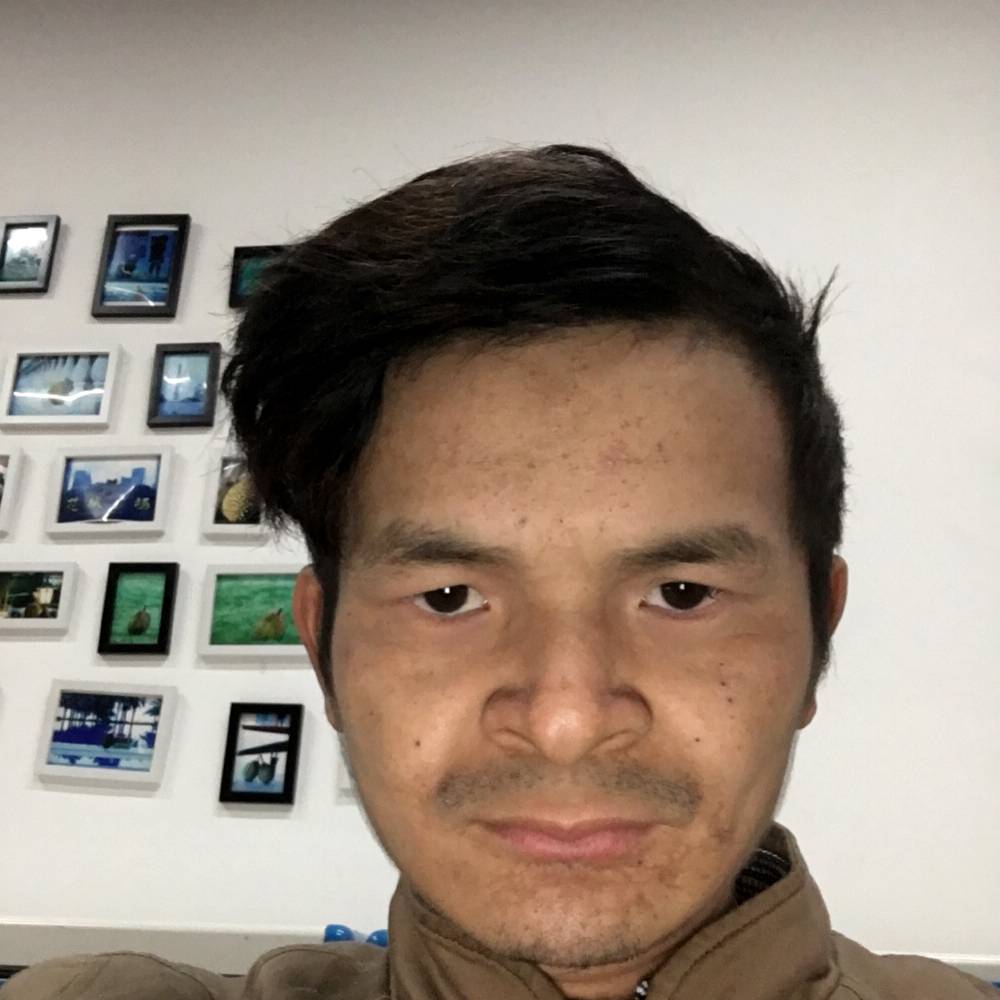 黄豆拾忆飘逸的照片