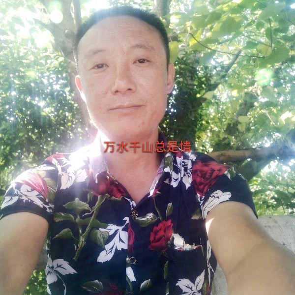 烈性猛于虎的照片