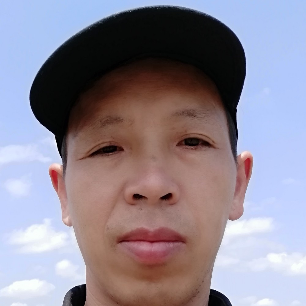 菠萝向美丽的照片