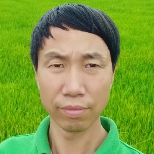 北方行者的照片