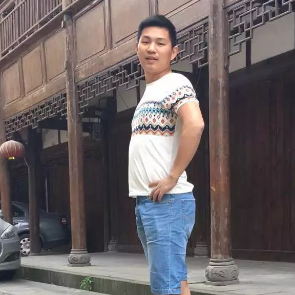 谦让演变小鸽子的照片
