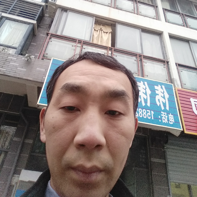 谦让的树叶的照片