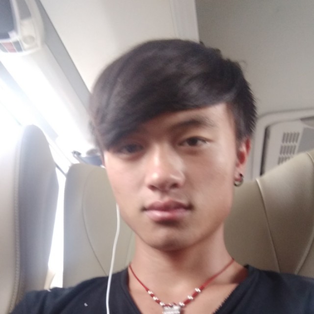 小懒猪闻疯狂的照片