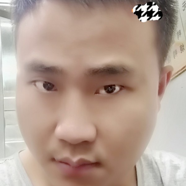 包容浅吻刺猬的照片